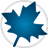 maplesoftmaple2021中文版