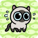 冒险猫抖音手游