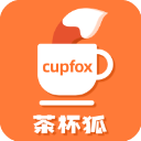 茶杯狐正版