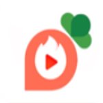 萝卜视频轻量版