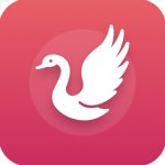 白天鹅追剧app