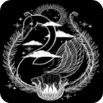 天鹅视频大全电视剧app