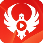 月鹰视频无广告版