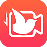 飞鸽影视大全tv版