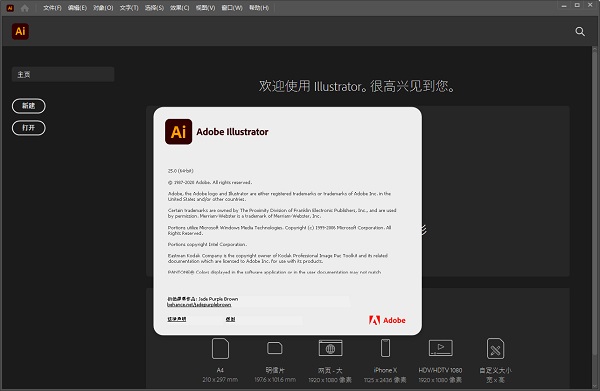 Adobe Illustrator 2021绿色精简破解版