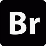 Adobe Bridge 2021最新版本 v11.0.0.83中文破解版