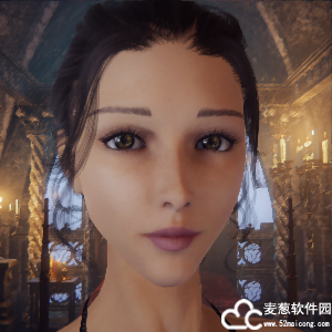 惩戒魅魔优雅黑发韵味大姐姐捏脸mod