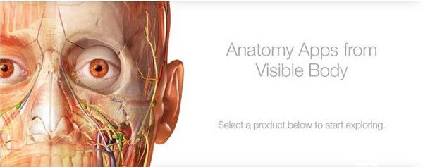 visible body2021破解版