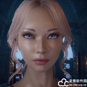 惩戒魅魔粉发蓝眸清纯少女捏脸mod