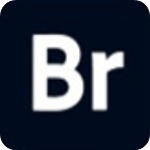 Bridge2022软件破解版 v12.0直装中文版