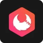 Apifox官方版 v2.0.2中文免费版