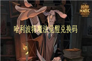 哈利波特魔法觉醒兑换码