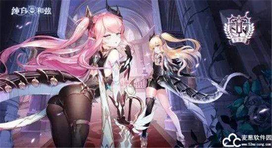 纯白和弦阵容推荐