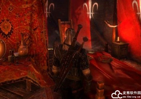巫师2刺客之王加强版