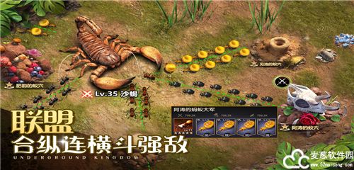 小小蚁国官服