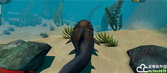 海底大猎杀鱼类介绍