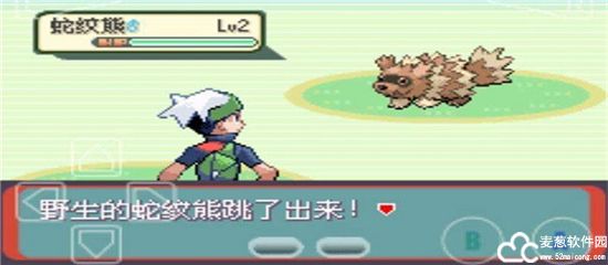 口袋妖怪绿宝石前期必抓精灵