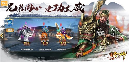 王者之师哪个组合厉害