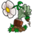 植物大战僵尸无尽版中文版 v40.10安卓版