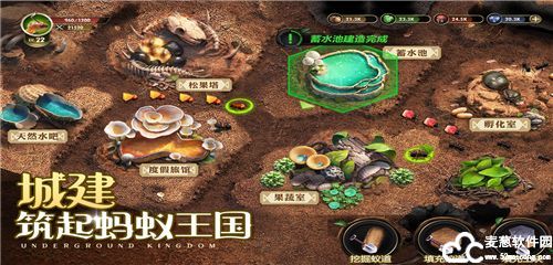 小小蚁国特化蚁搭配攻略