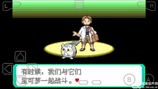 口袋妖怪究极绿宝石金手指版