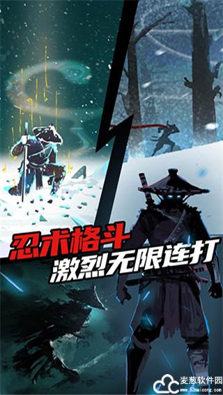 忍者岚1官方正版