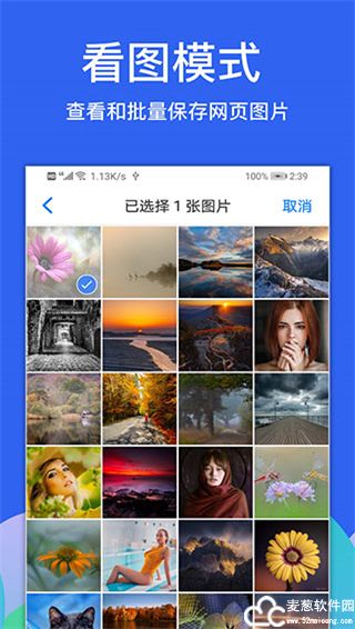 Alook浏览器官方版