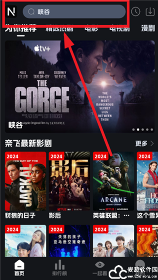 奈飞工厂2025最新版本