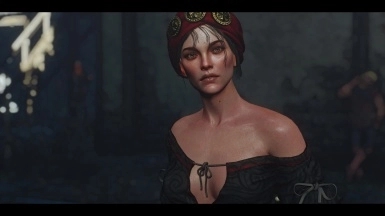 巫师3狂猎精灵角色美化mod