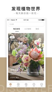 花田小憩电脑版