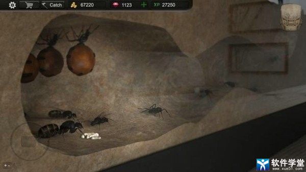 蚂蚁模拟大亨中文破解版