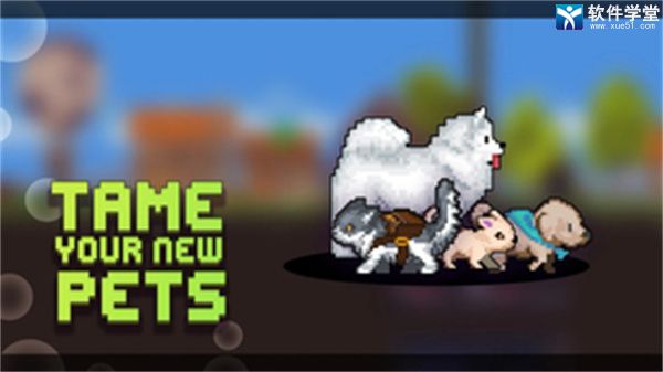 矿工物语破解版