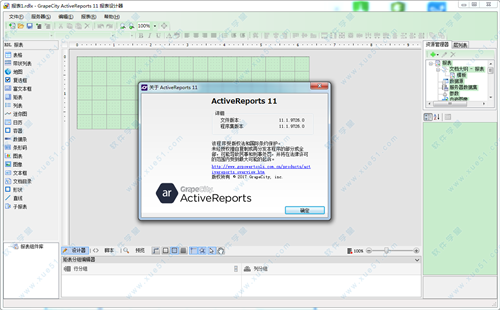ActiveReports11
