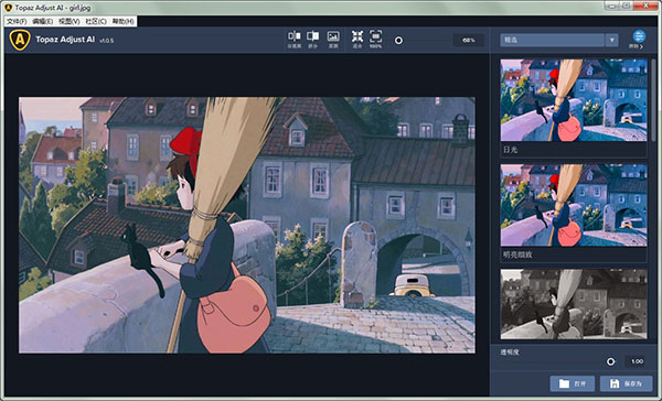 Topaz Adjust AI汉化破解版