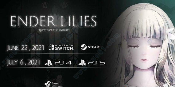 终结的百合花骑士们的救赎正式完整版